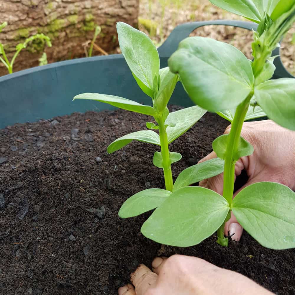 Why is biochar good for gardens?